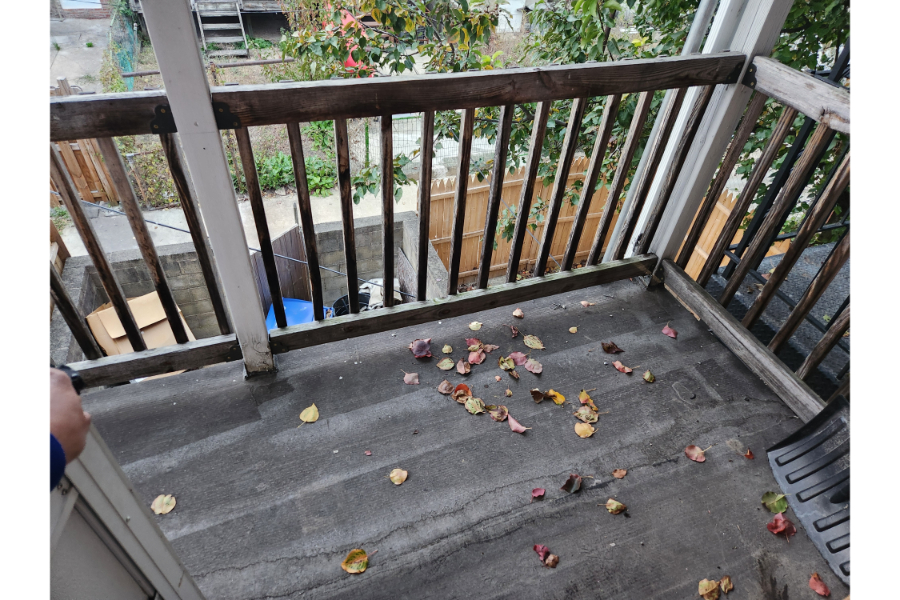 3 Bed 1 Bath, 1332 Sargeant St 21230 - Image 13