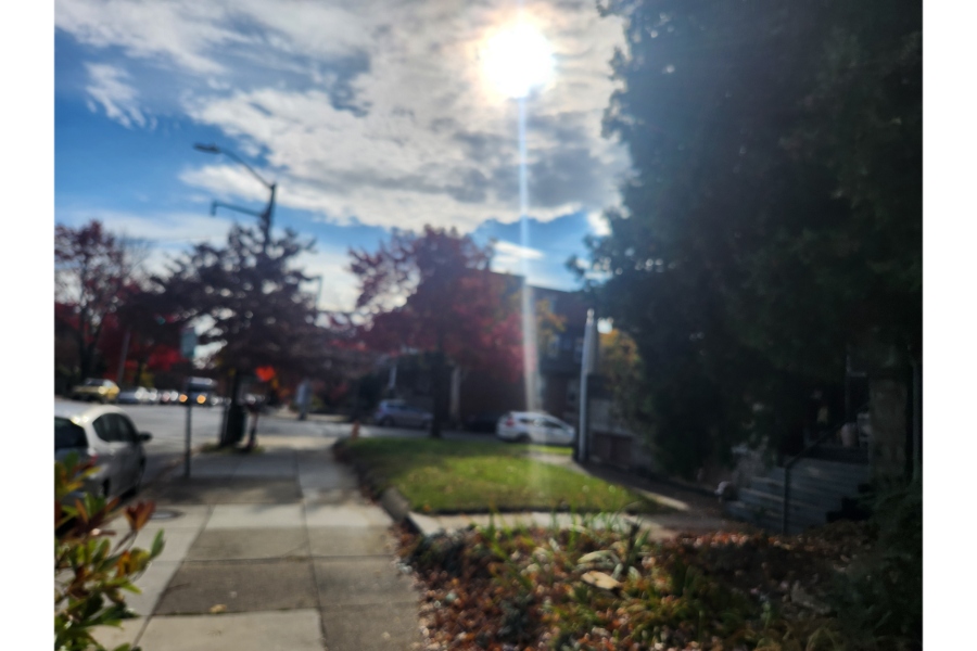 1 Bed 1 Bath, 2904 Guilford Ave 21218 - Image 3