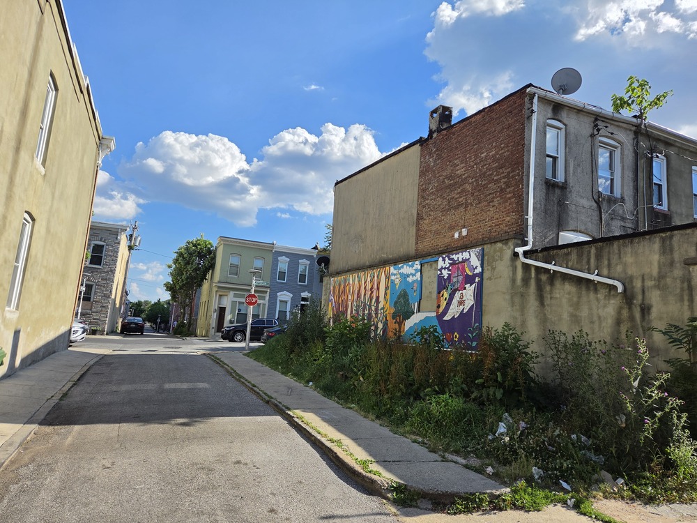 2 Bed 2 Bath, 500 N Port St 21205 - Image 20